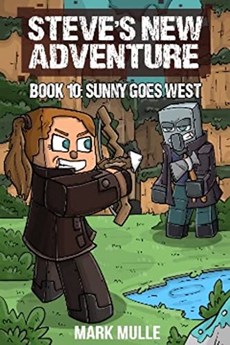 Steve’s New Adventure Book 10