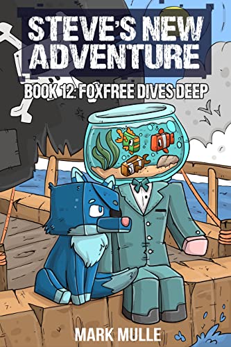 Steve’s New Adventure Book 12
