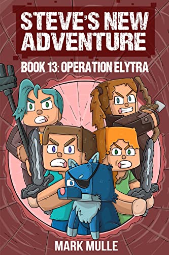 Steve’s New Adventure Book 13