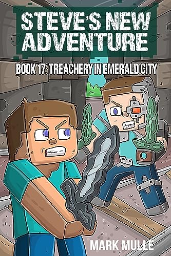 Steve’s New Adventure Book 17